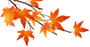 dfb2cbeb48b6e6c307198c81f206b5bc.jpg