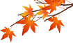 d41e2ce217c404e1ceda10ea1a2138db.jpg
